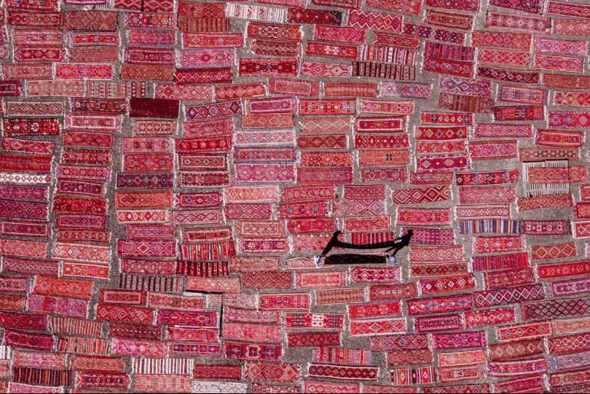Carpet Fields by F. Dilek Yurdakul