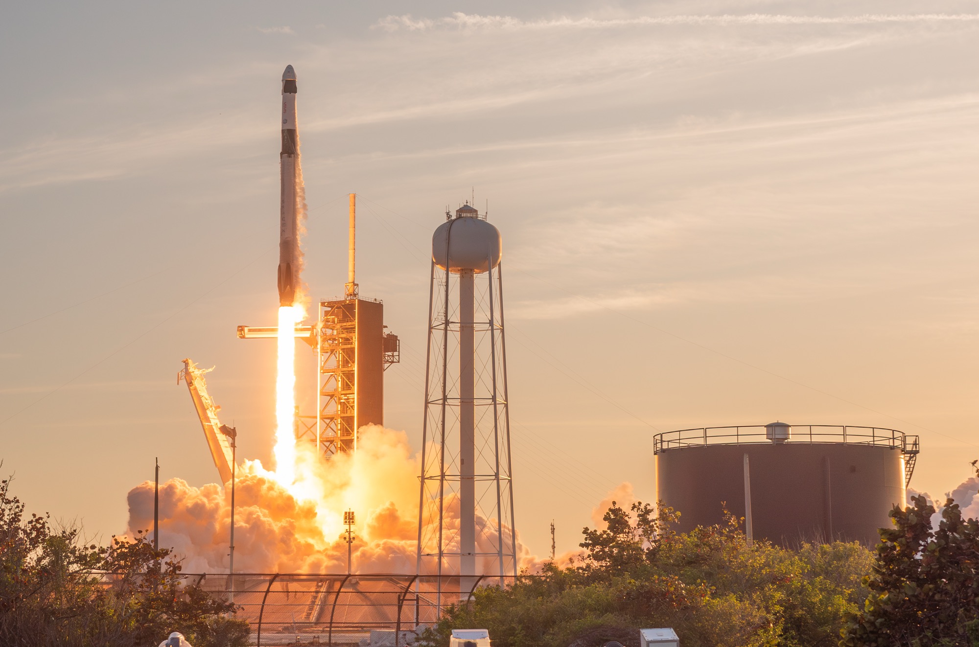 SpaceX Crew-10 launch falcon 9