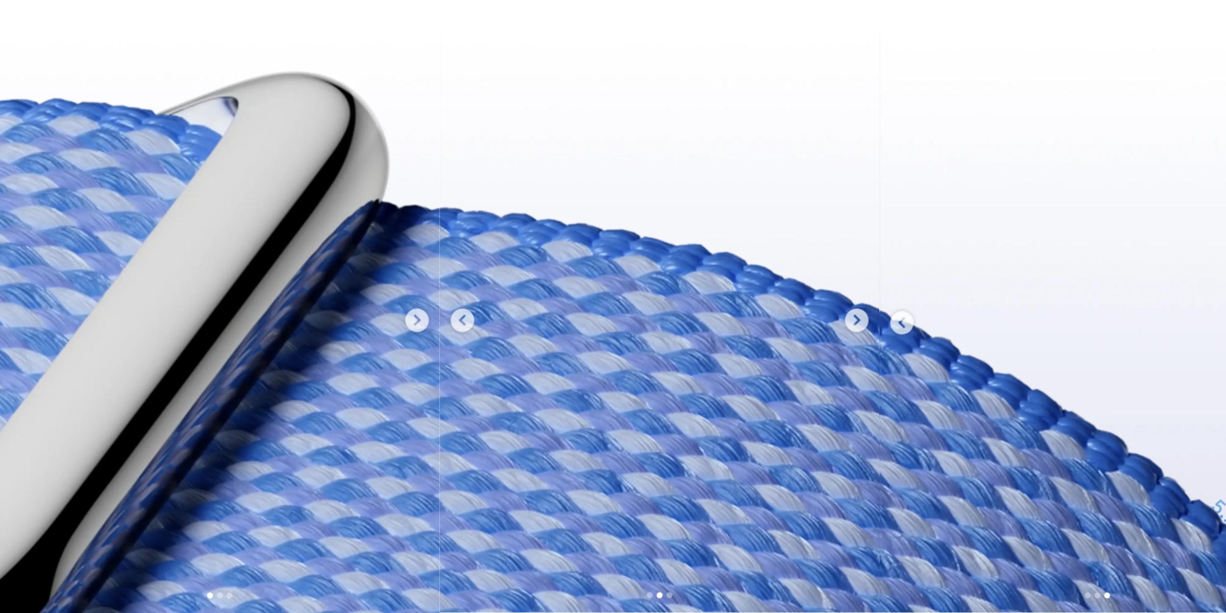Fitbit Air