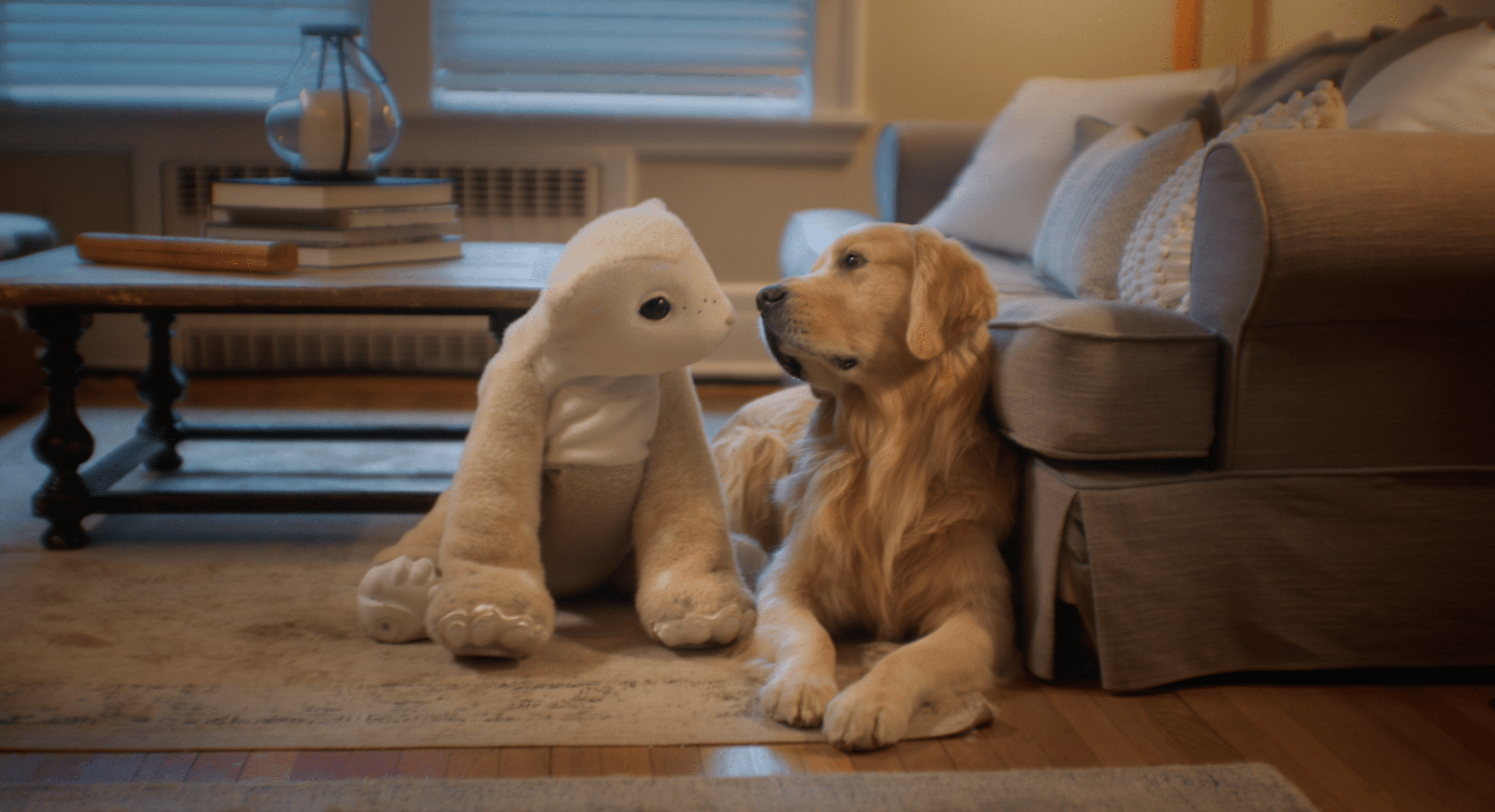 The creator of Roomba is back with a furry robot companion.