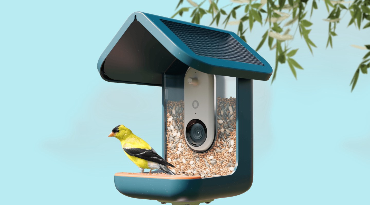BirdBuddy Pro