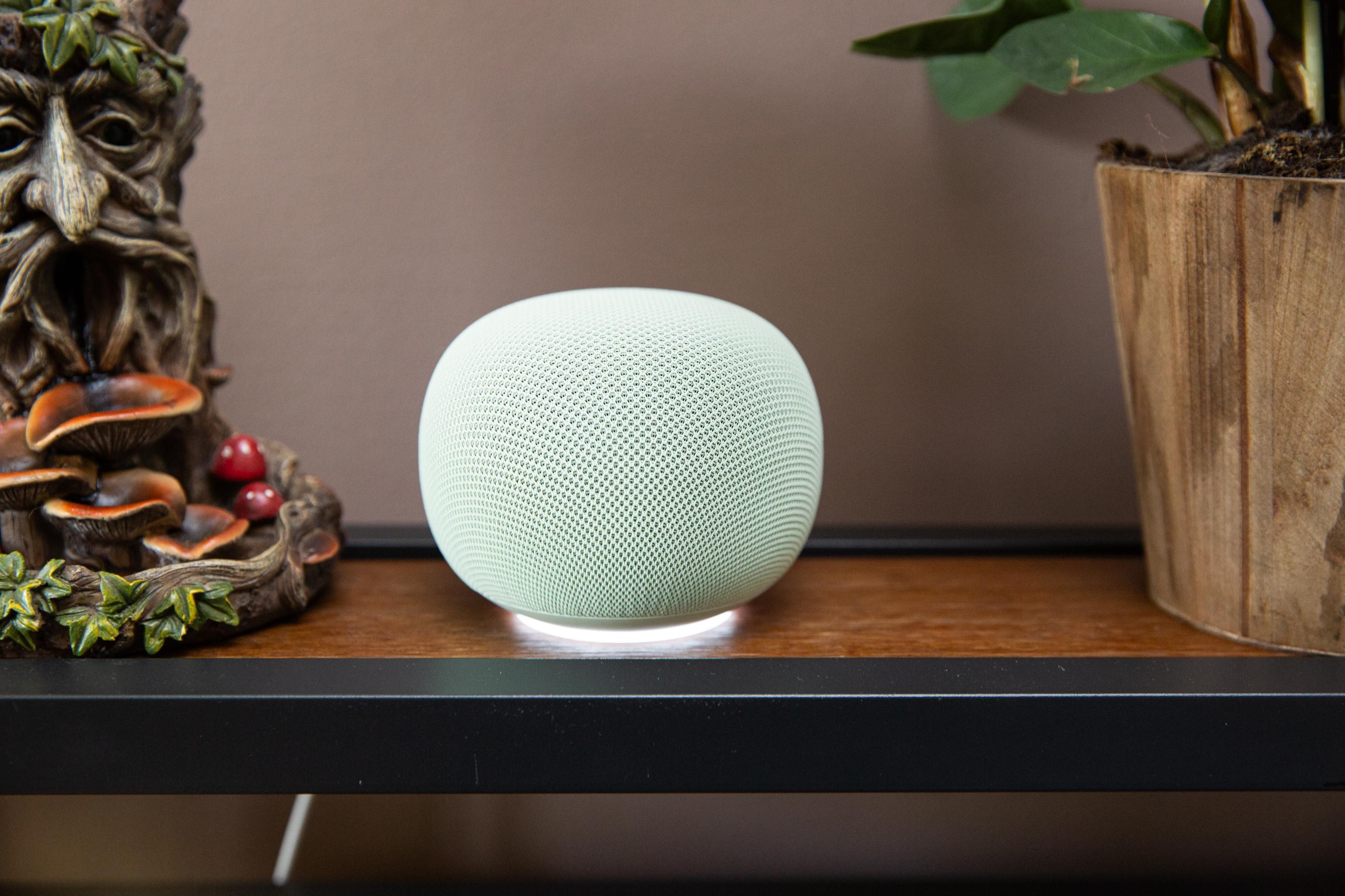 Google Home Speaker