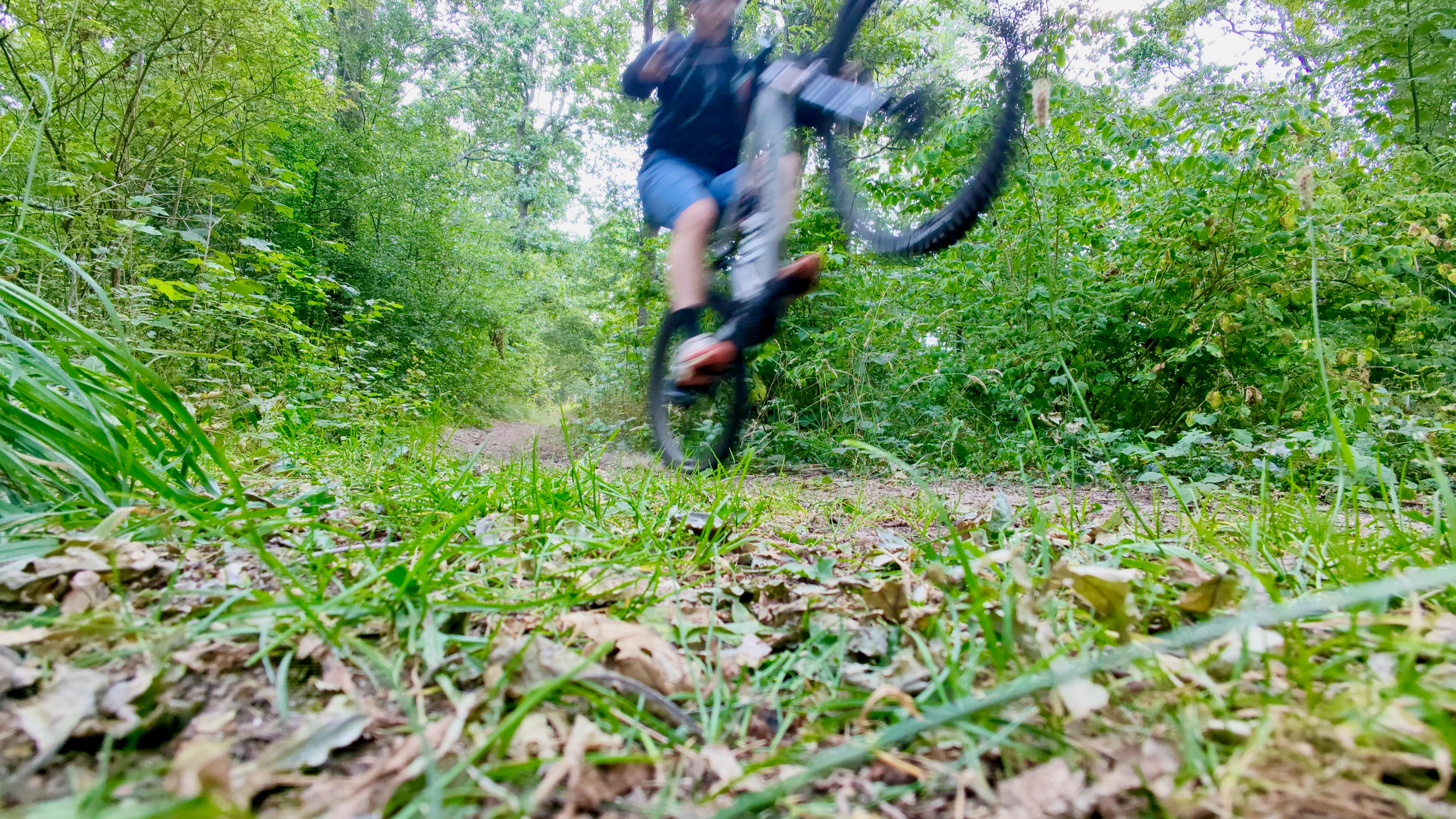 amflow blur wheelie